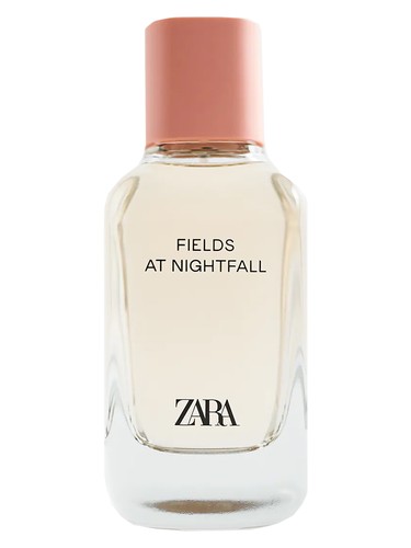 Fields at Nightfall 2020 Zara pro ženy 