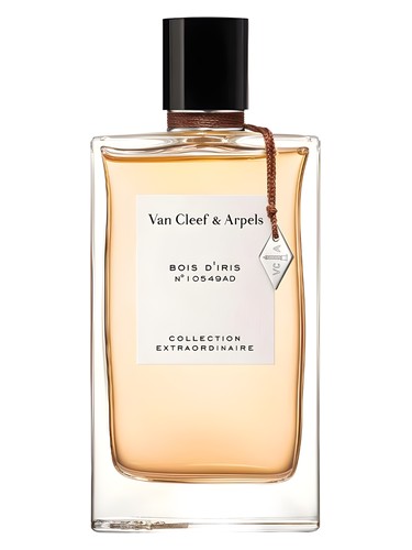 Amazon.com : Van Cleef & Arpels Bois D'iris Women's Edp