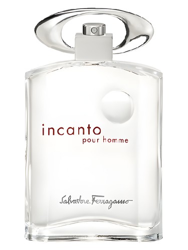 Incanto Pour Homme Salvatore Ferragamo pro muže 