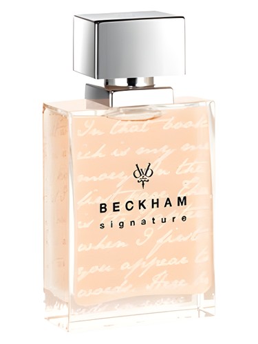 Signature Story for Her David Beckham pro ženy