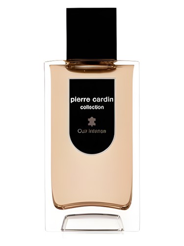 Pierre Cardin Collection Cuir Intense Pierre Cardin pro muže 