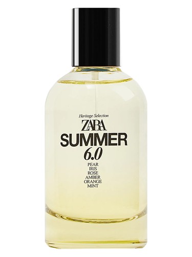 Summer 6.0 Zara pro muže 