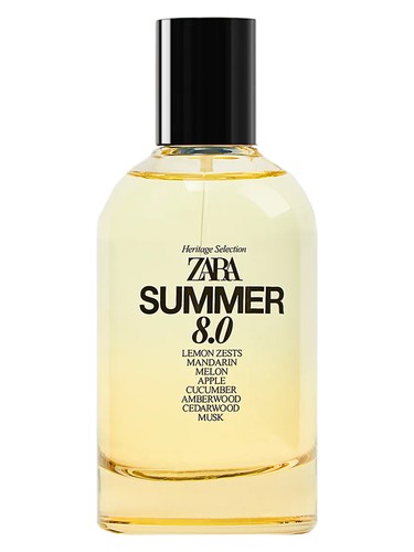 Summer 8.0 Zara pro muže 