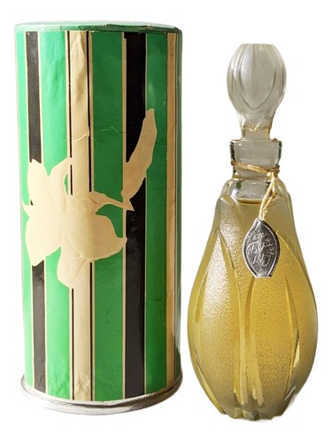 Белая лилия - White lily