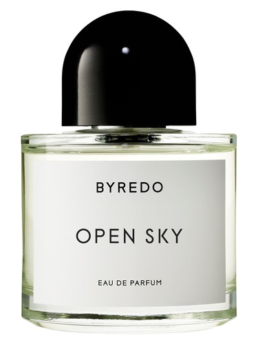 Open Sky