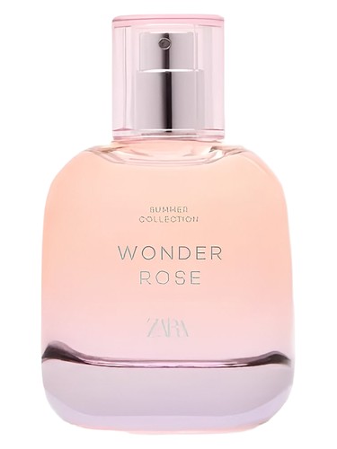 Wonder Rose Summer