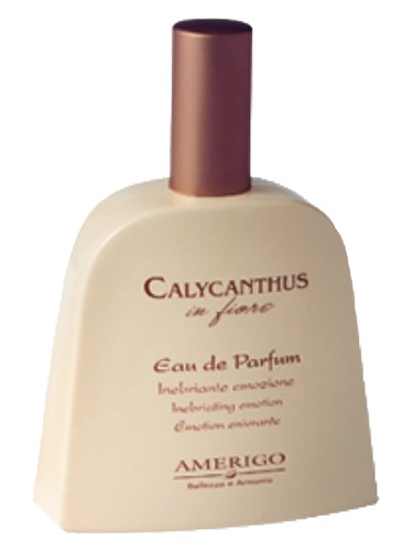 perfume Calycanthus In Fiore Amerigo pro ženy 