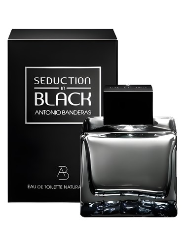 Seduction in Black Antonio Banderas pro muže 
