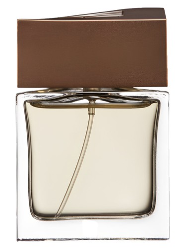 Brioni Man Eau de Parfum Brioni pro muže 