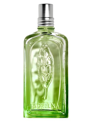 ロクシタン Verveine Cactus 100ml Verveine Cactus L'Occitane en Provence perfume - a