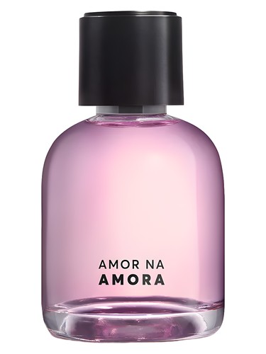 Amor na Amora Quem Disse Berenice pro ženy 