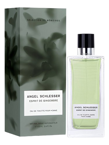 Esprit de Gingembre Pour Homme Angel Schlesser pro muže 