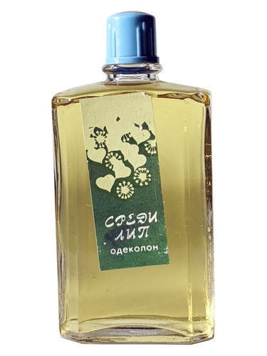 Among the linden trees - Среди лип