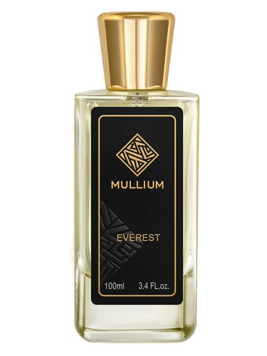 perfume everest Mullium pro muže 