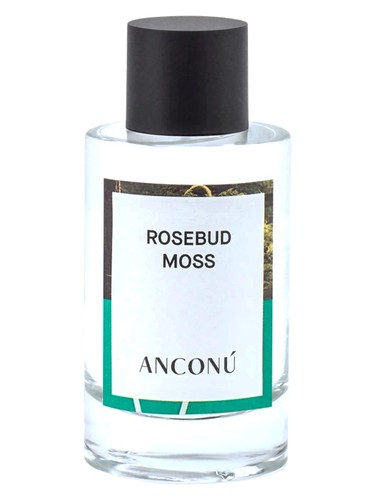 Rosebud Moss Anconu pro ženy a muže
