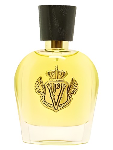 perfume Enigmatic Man Parfums Vintage pro muže 