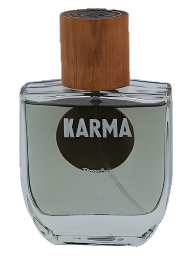 perfume Karma The Lab pro ženy a muže 