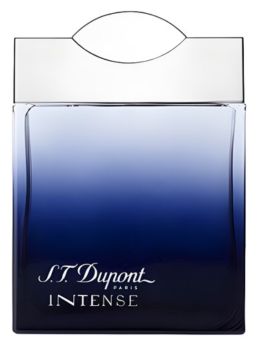 S t dupont intense pour homme