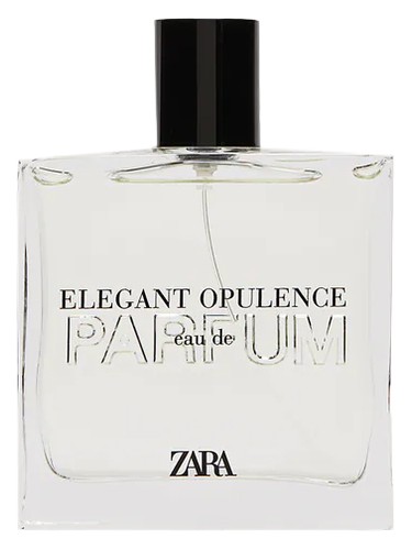 Elegant Opulence Zara pro muže 