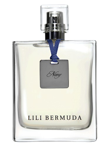 Navy Lili Bermuda pro muže 