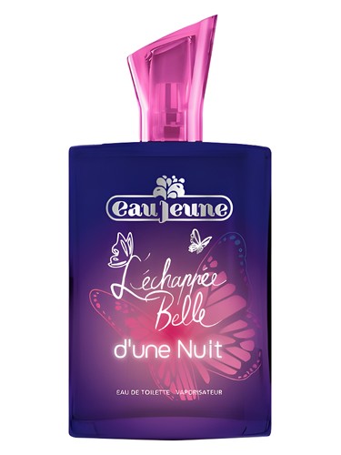 L'Échappée Belle d'une Nuit