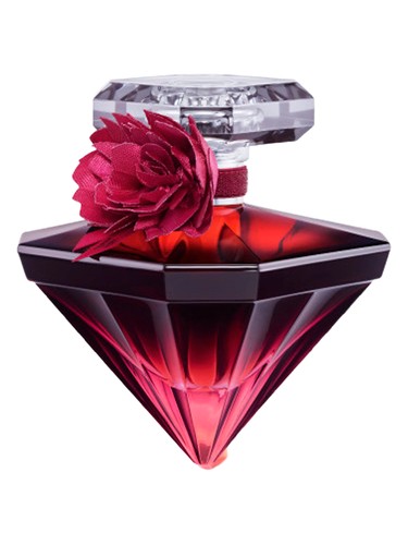 (日本未発売) La Nuit Trésor Intense Lancôme La Nuit Trésor Intense by Lancome – Valencia