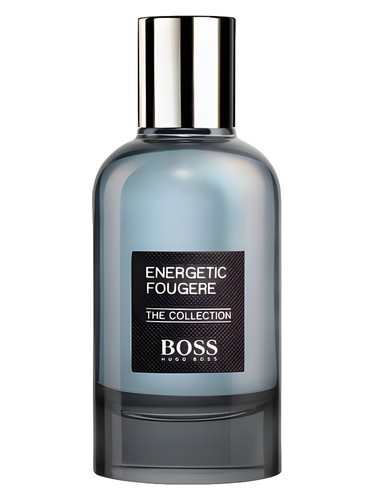 The Collection Energetic Fougère Hugo Boss pro muže 