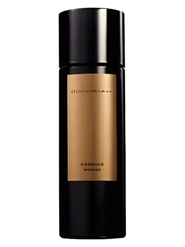 Essence Wenge Donna Karan pro ženy 