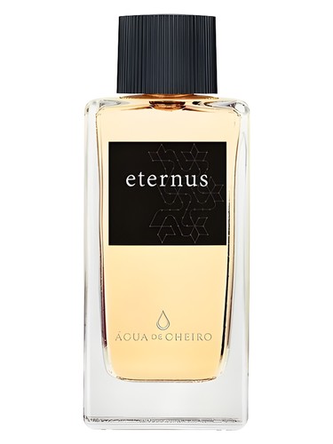 perfume Eternus Água de Cheiro pro muže 