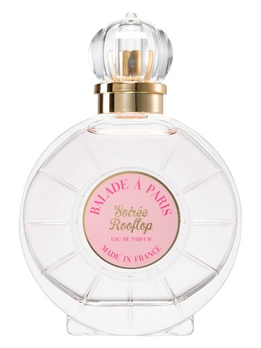 Balade a paris soiree rooftop