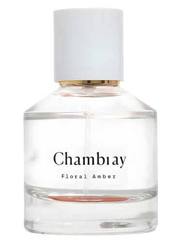 Chambray Madewell pro ženy