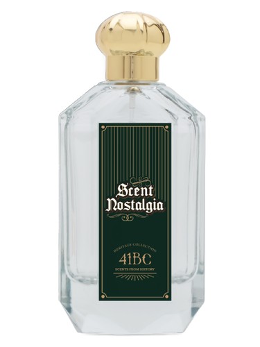 41BC Scent Nostalgia pro muže 