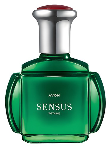 Sensus Voyage Avon pro muže 
