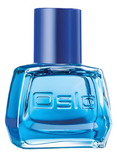 Oslo Instinct by Avon