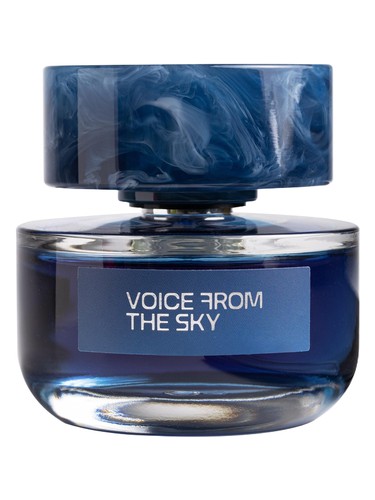 Voice From The Sky