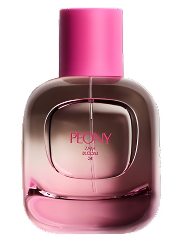 Peony  Zara pro ženy 