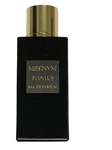 Plinius Misenum pro ženy a muže 