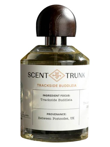 Trackside Buddleia Scent Trunk pro ženy a muže 