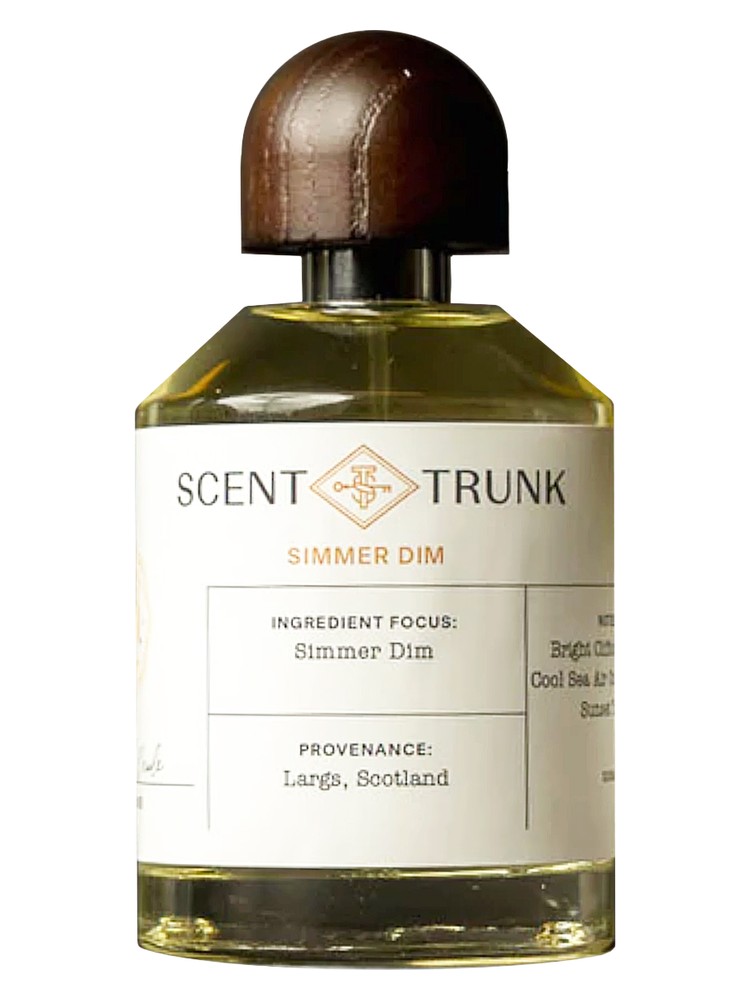 Simmer Dim Scent Trunk perfume - a fragrance for women and men