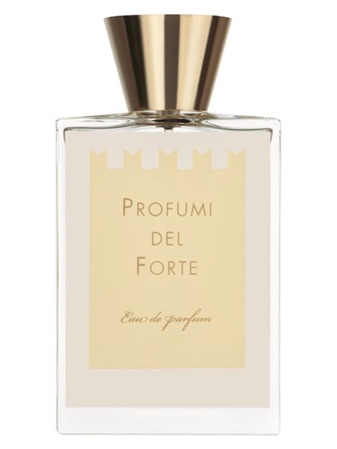 Ambra Mediterranea (Versilia Vintage Ambra Mediterranea) Profumi del Forte pro ženy a muže 