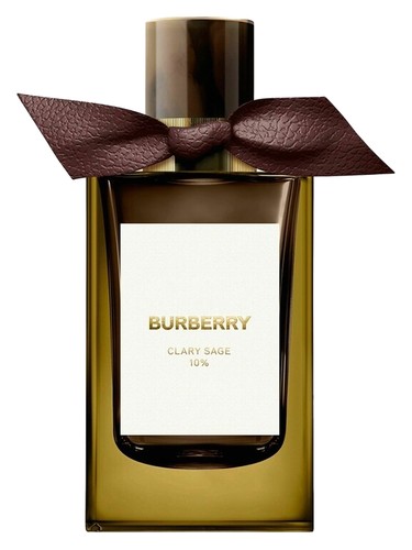 Clary Sage Burberry pro ženy a muže 