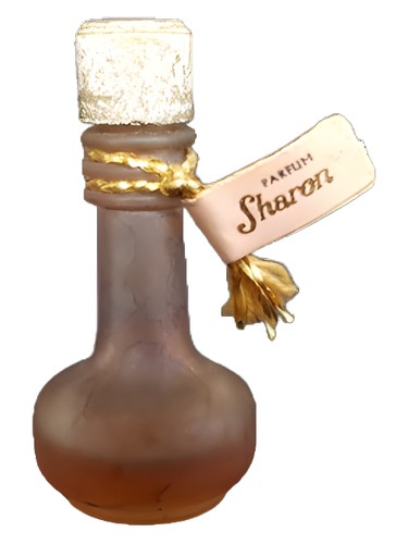 Sharon Judith Muller pro ženy 