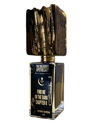 Find Me In The Dark Chapter II