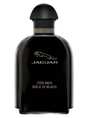 Jaguar For Men Gold in Black Jaguar pro muže 
