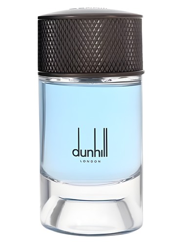 Nordic Fougère Alfred Dunhill pro muže 