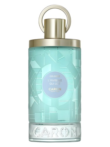 L'Invisible qui Luit