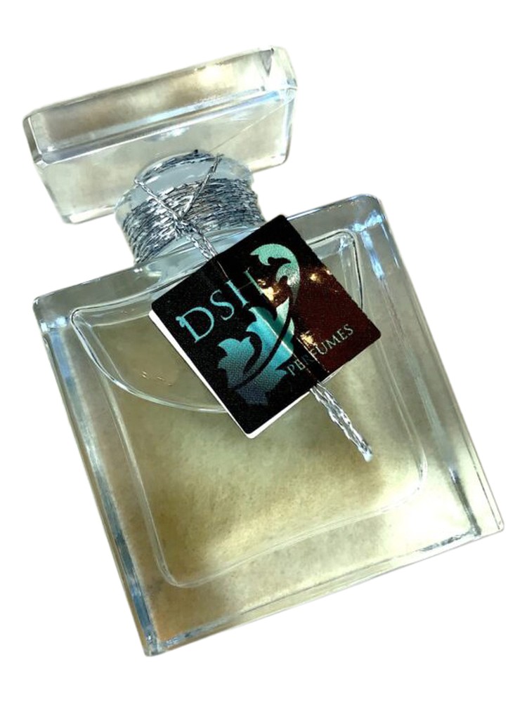 Open Space No. 1 DSH Perfumes parfum - un parfum pour homme et femme 2022
