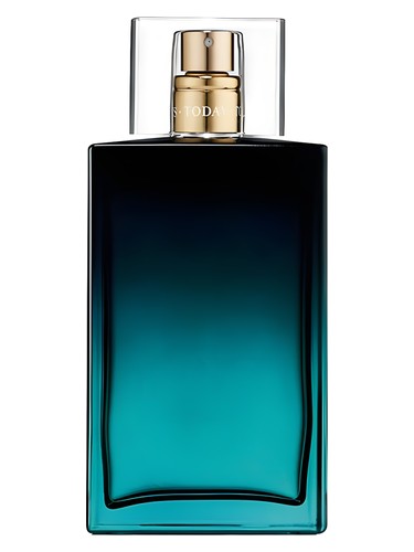 Today Tomorrow Always The Moment Him Avon pro muže