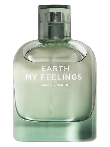 Earth My Feelings Zara pro muže 