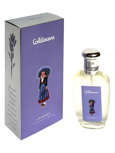 Lavanda Coldinava